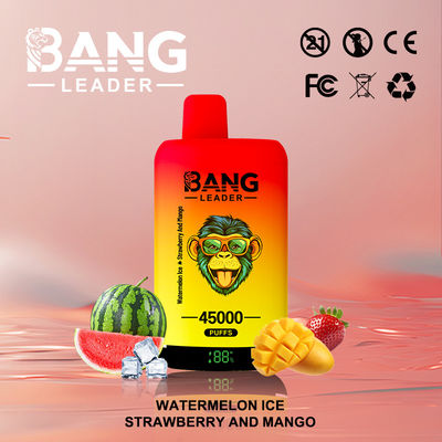 45000puffs Bang Leader Vape Dual Mesh Coil Customization Eco Friendly