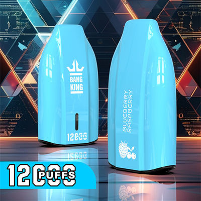 Bang 12000puffs 12k Mesh Coil Pods 18ml Refilled Eliquid 5% Nicotine Salt Fruit Taste