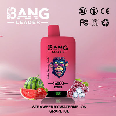 45000puffs Bang Leader Vape Dual Mesh Coil Customization Eco Friendly