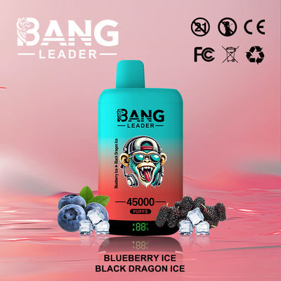 45000puffs Bang Leader Vape Dual Mesh Coil Customization Eco Friendly